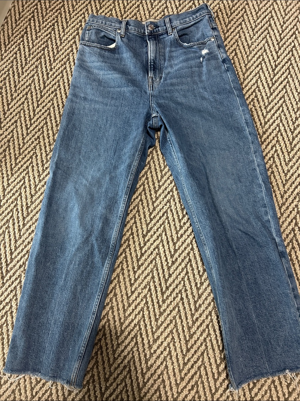 Everlane The Way High Jean Cropped